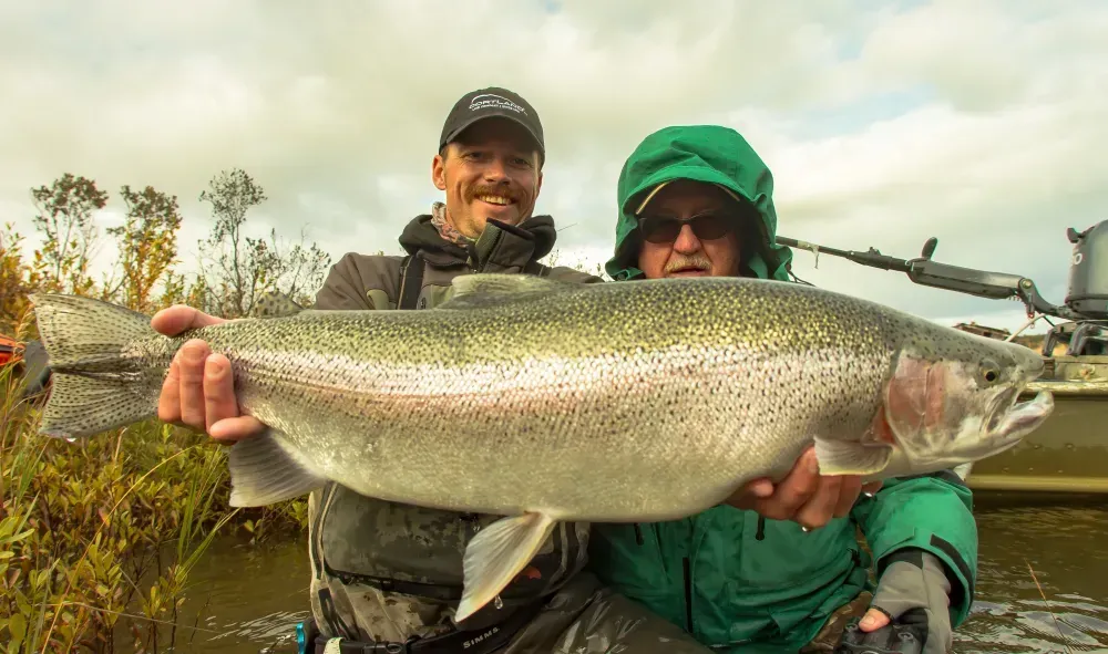Trophy rainbow trout on the Kenai River