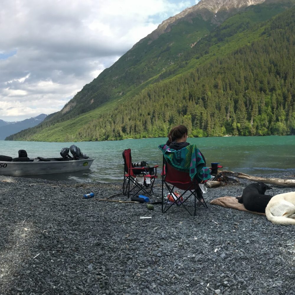 kenai lake view