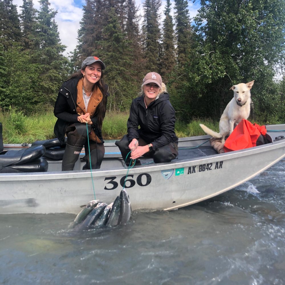 kenai sockeye limit and bones